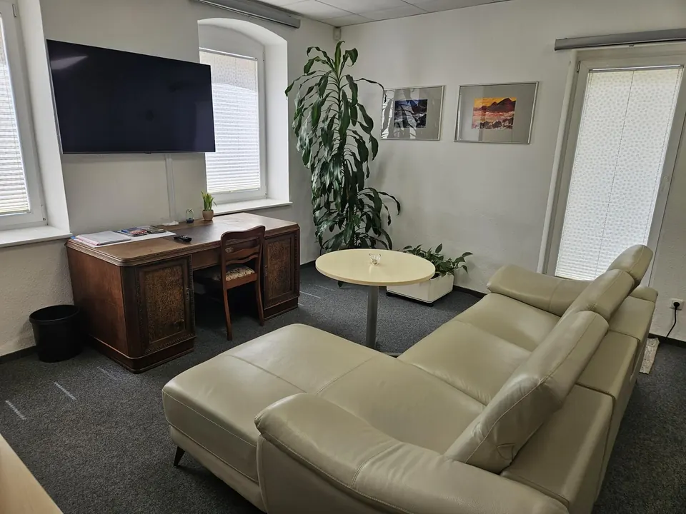 Wohnzimmer der Ferienwohnung Krämerbrückenidyll mit Ledersofa, Schreibtisch und großem TV